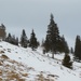 Зимові Карпати
